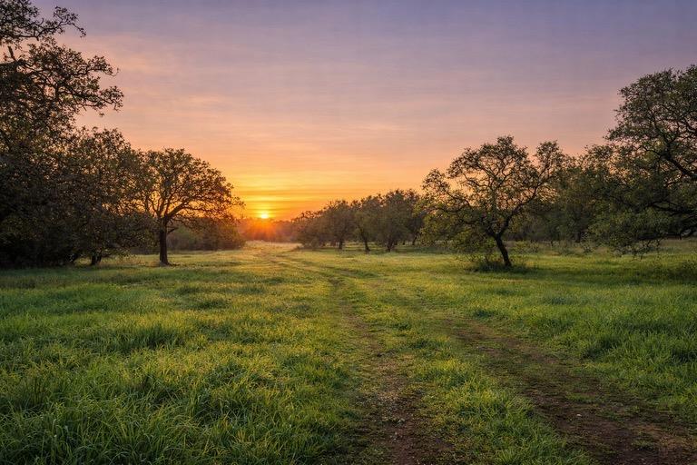 Tract 2 County Road 340