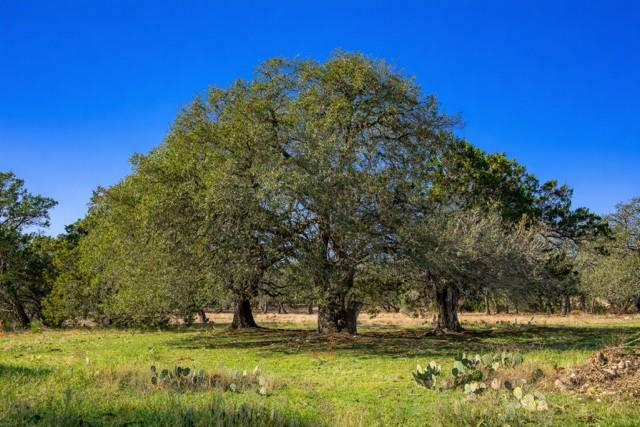 Tract 2 County Road 340