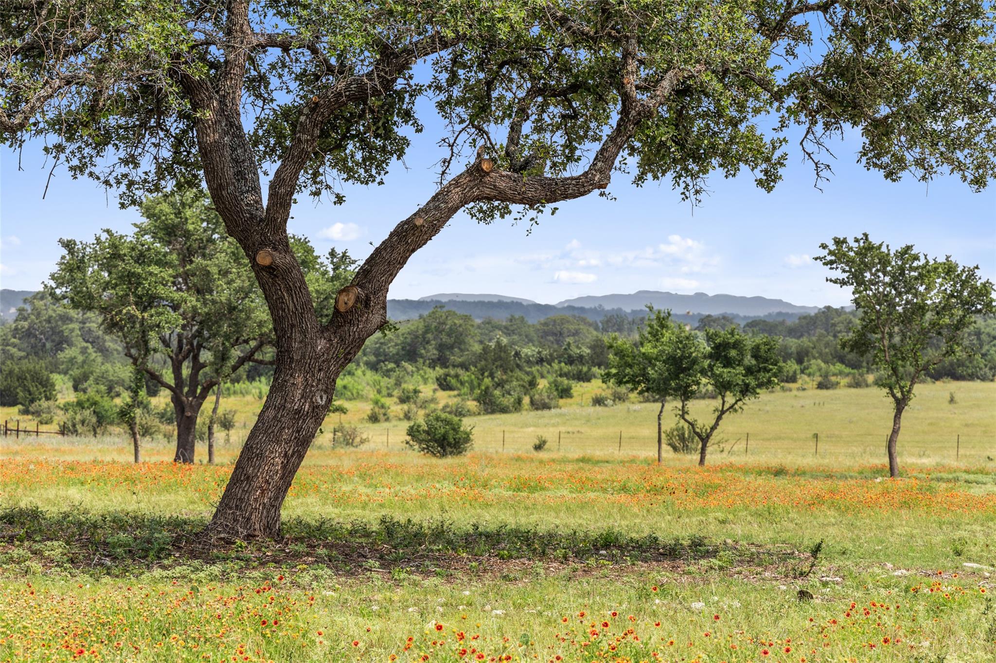 3431 Klett Ranch Road