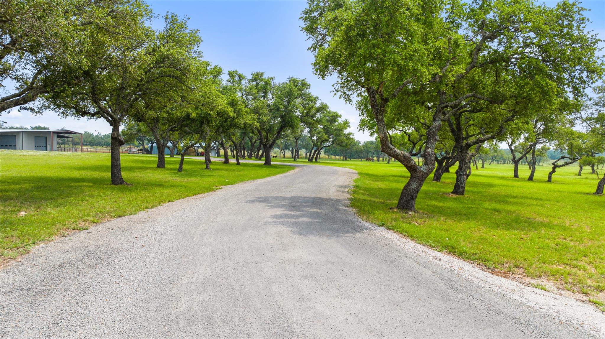 3431 Klett Ranch Road