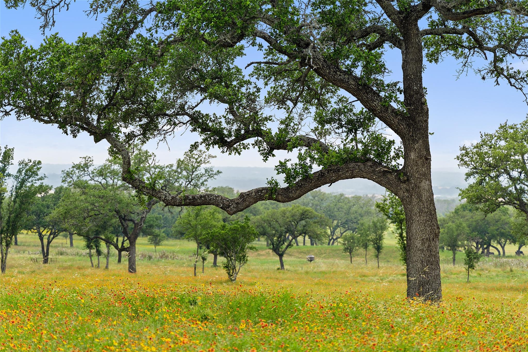 3431 Klett Ranch Road