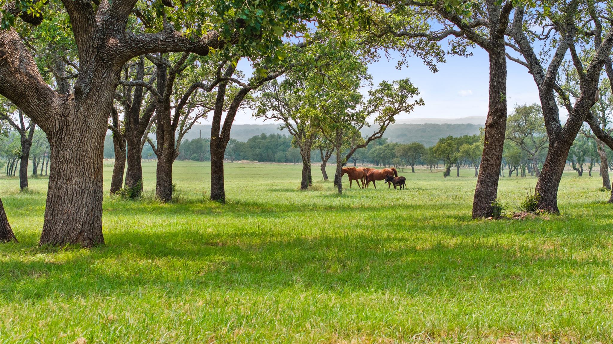 3431 Klett Ranch Road