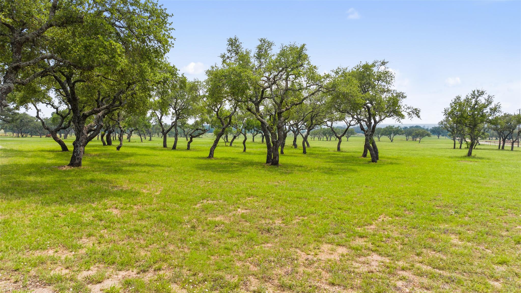 3431 Klett Ranch Road