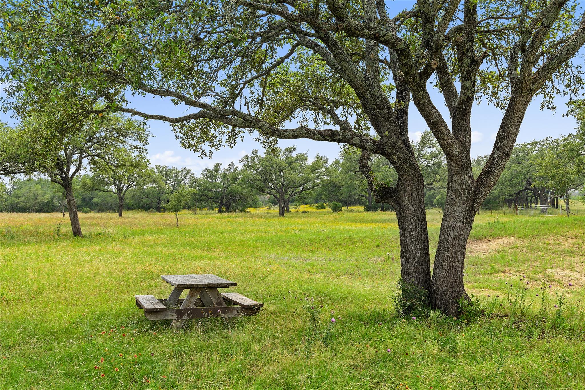 3431 Klett Ranch Road