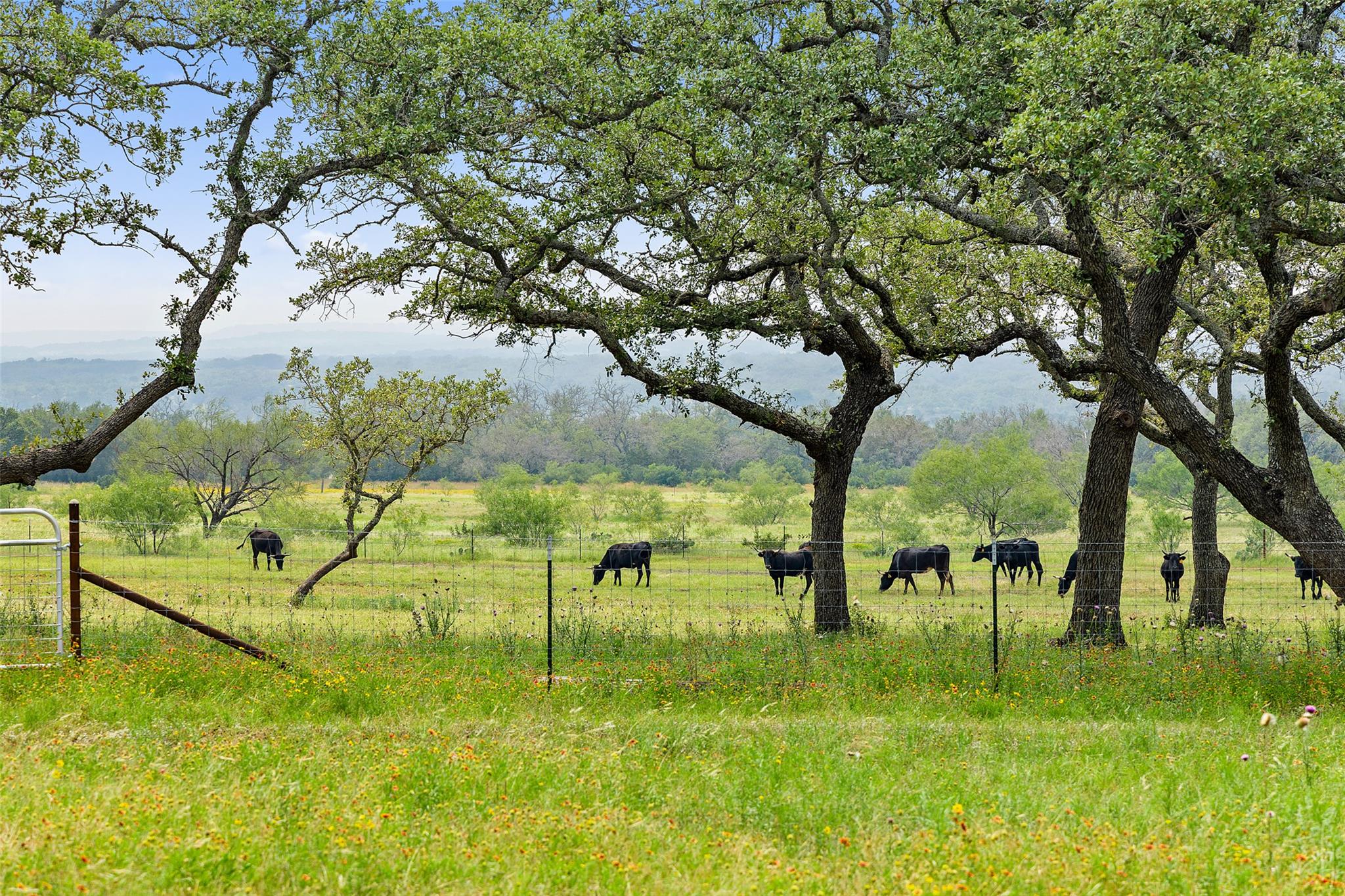3431 Klett Ranch Road