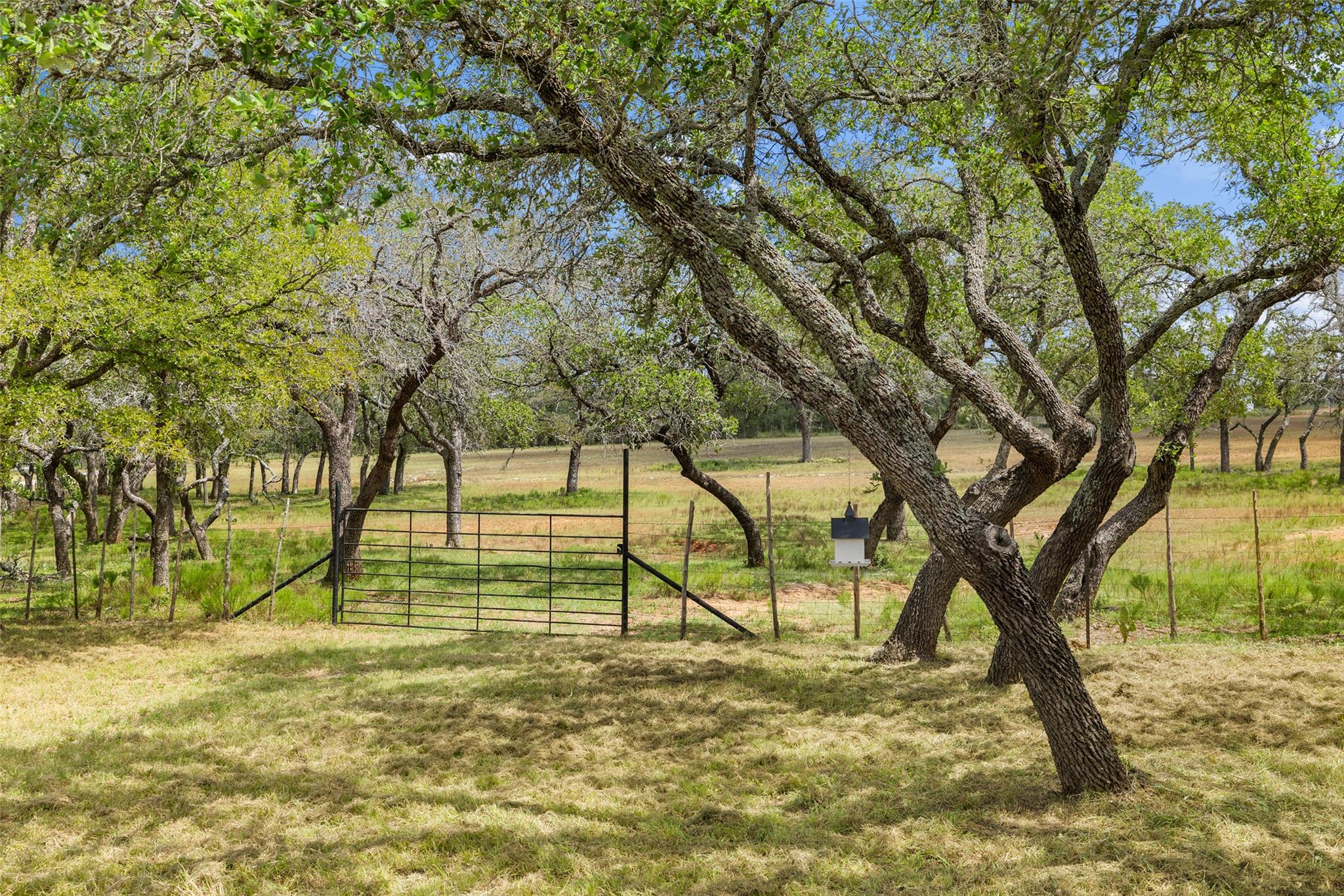 2631 N US Hwy 281