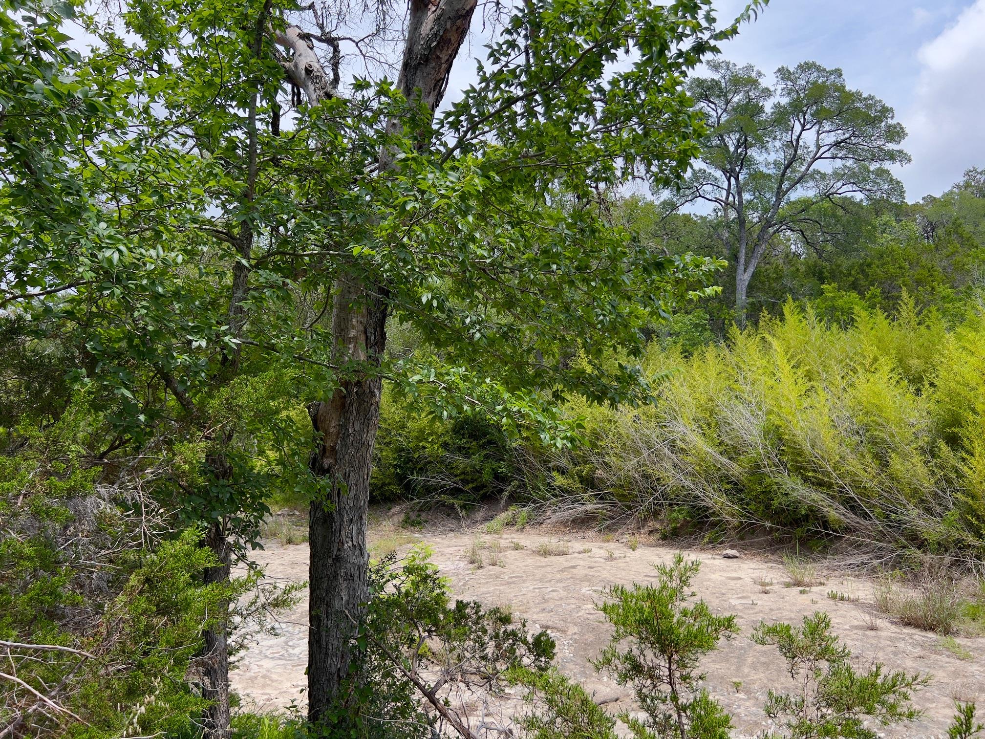 TBD Lot PT 19 Narrows RD