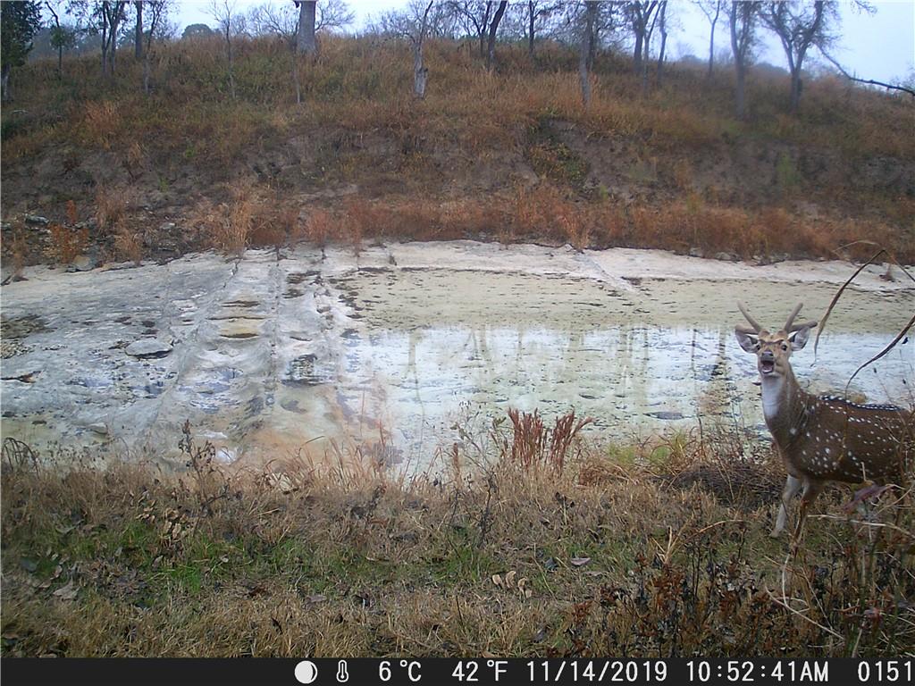 440 Chimney Valley RD