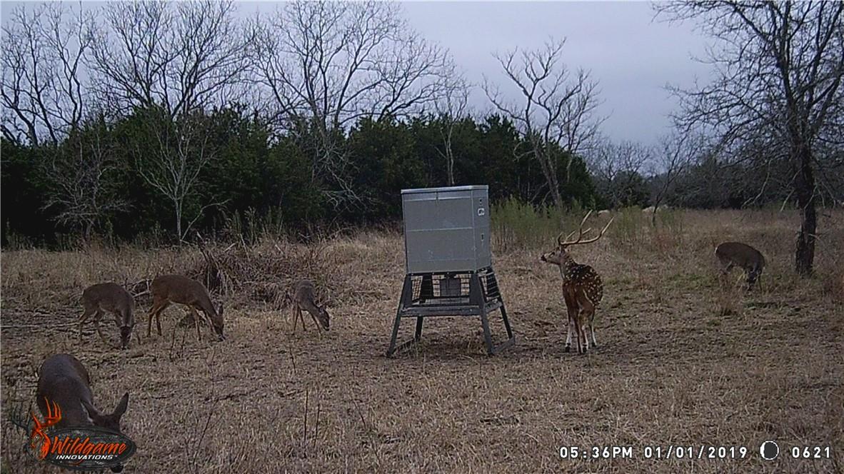 440 Chimney Valley RD