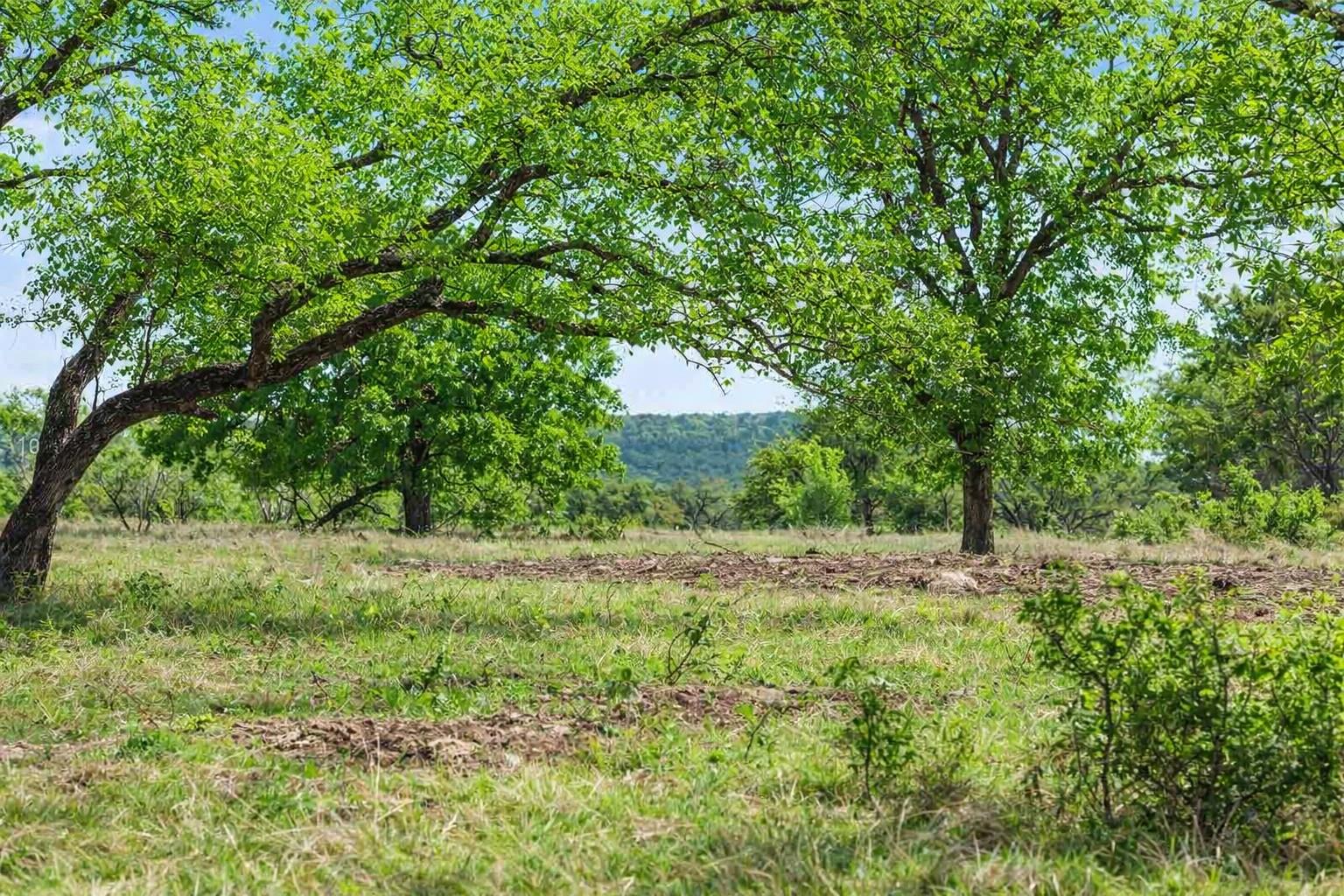 4772-10 County Road 340