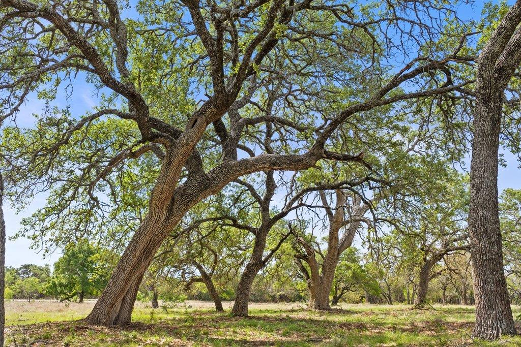 4772-10 County Road 340