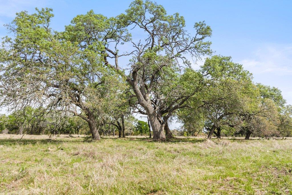 4772-10 County Road 340