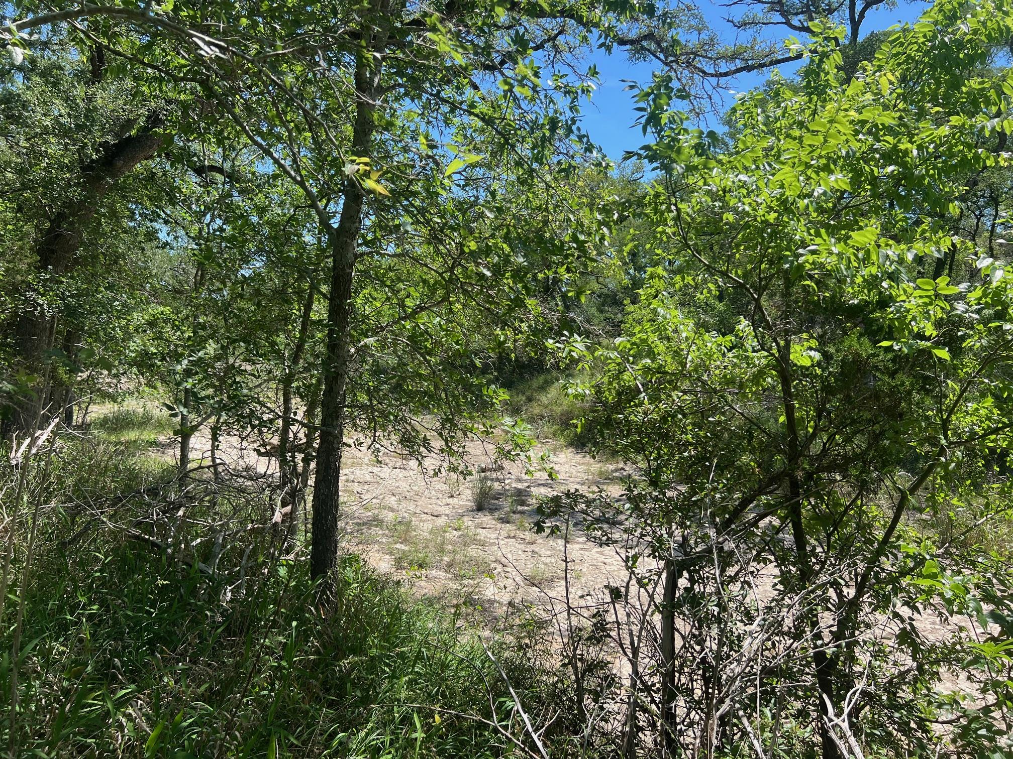 TBD Forest View DR # 1