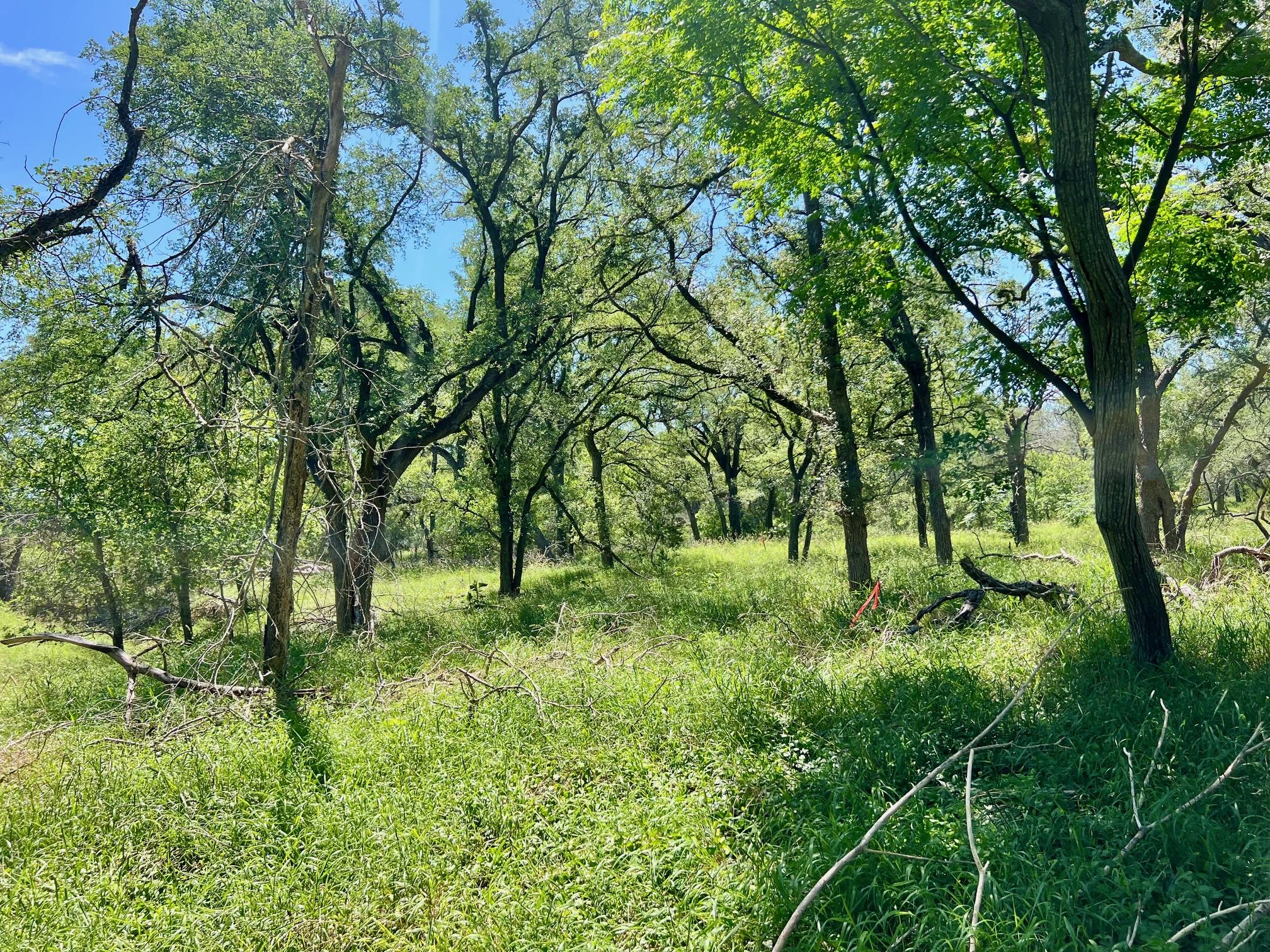 TBD Forest View DR # 1