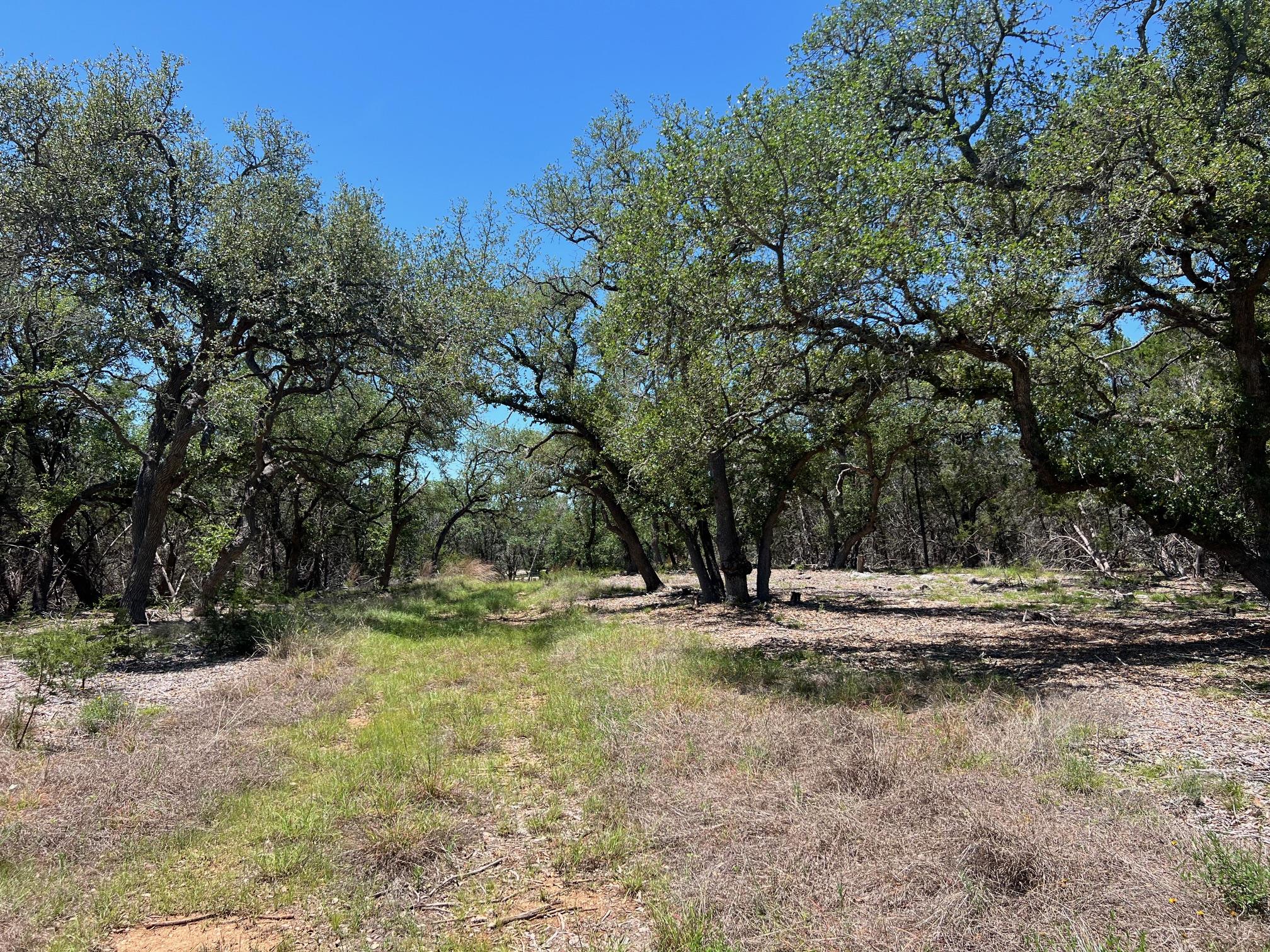TBD Forest View DR # 1