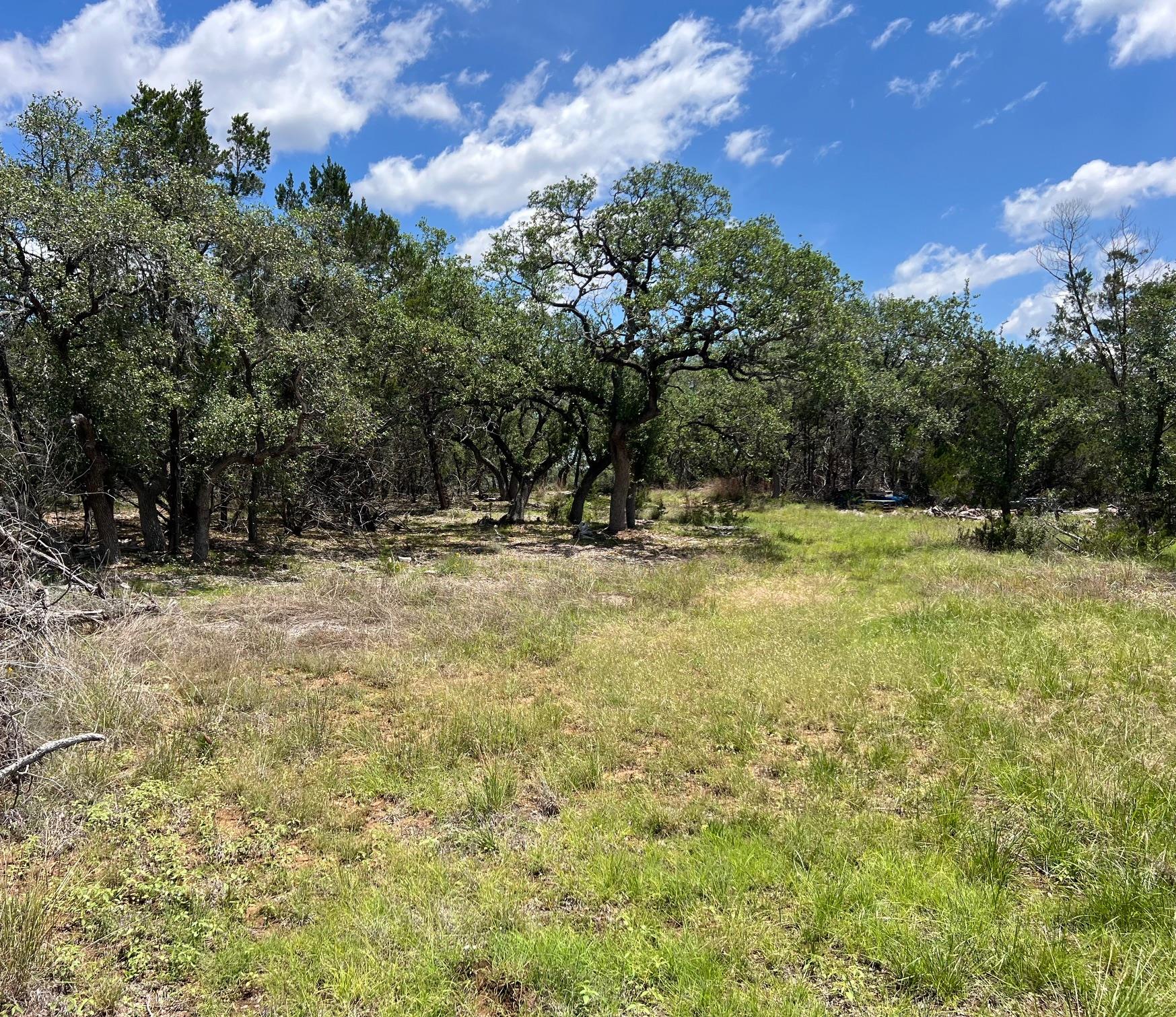 TBD Forest View DR # 1