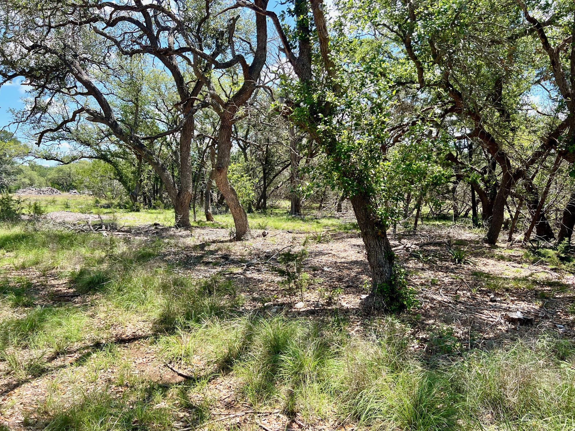 TBD Forest View DR # 1