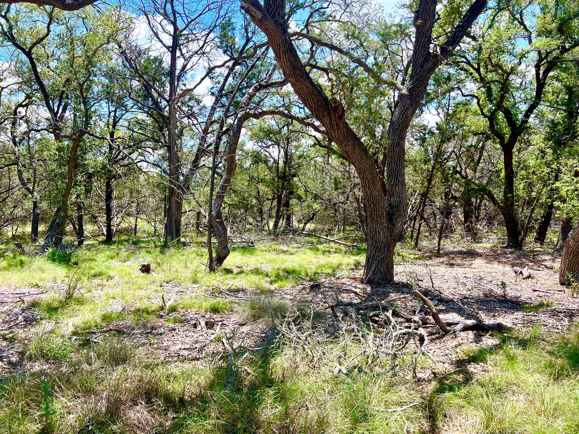 TBD Forest View DR # 1