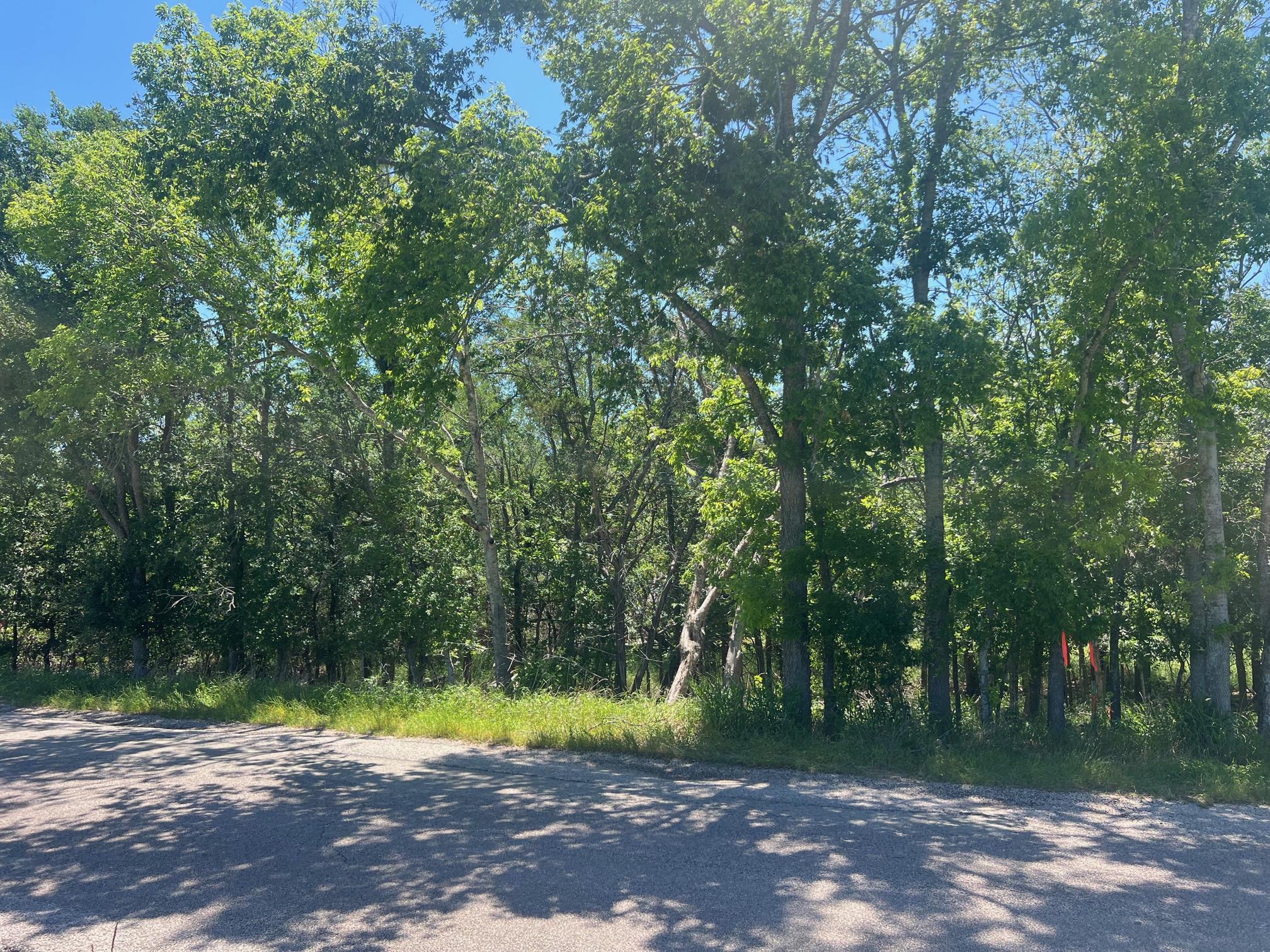 TBD Forest View DR # 1