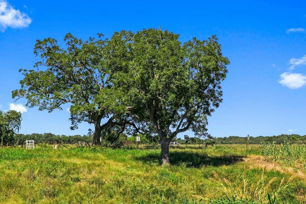 440 Chimney Valley RD