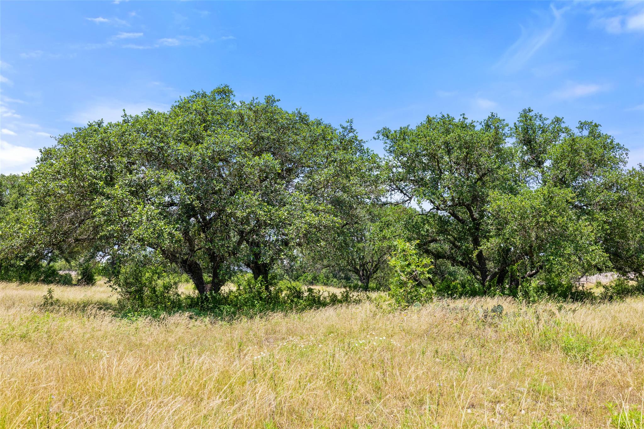 6571 County Road 340
