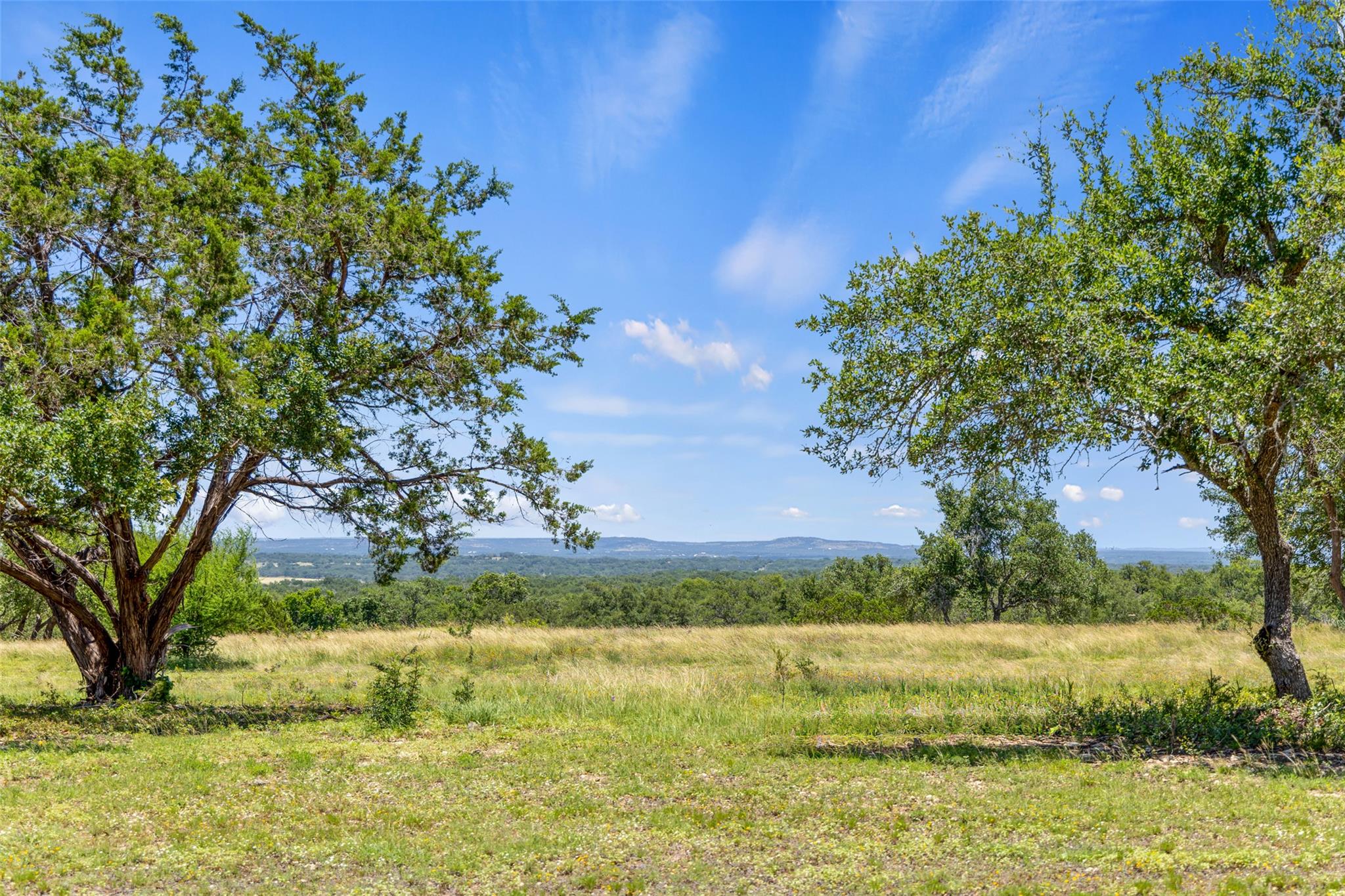 TBD TR 1 Lindeman LN