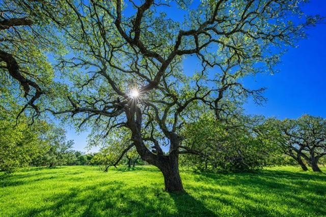 4772-2 County Road 340