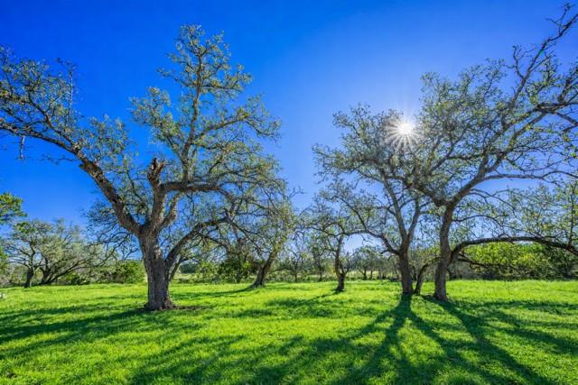 4772-2 County Road 340