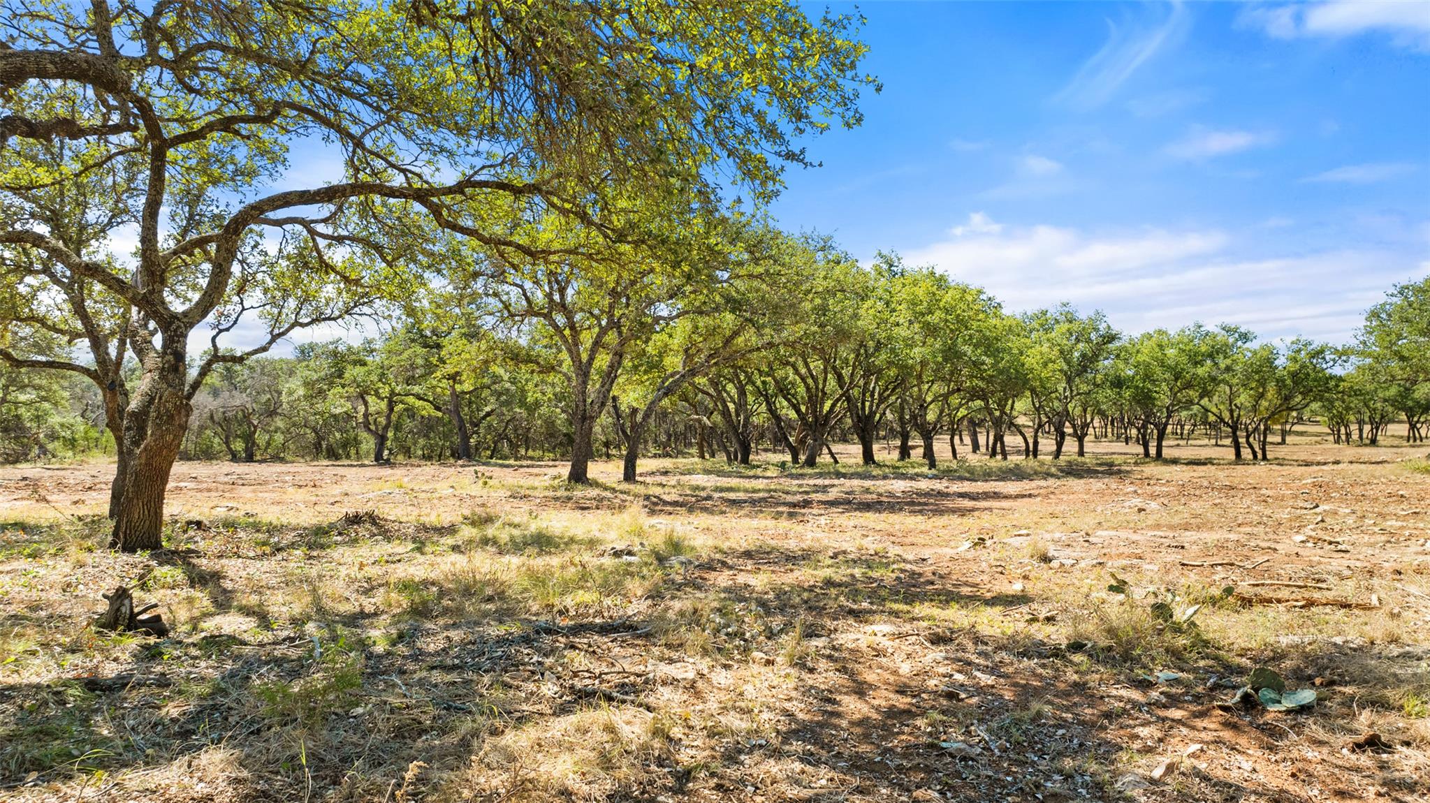 2560 Towhead Valley RD