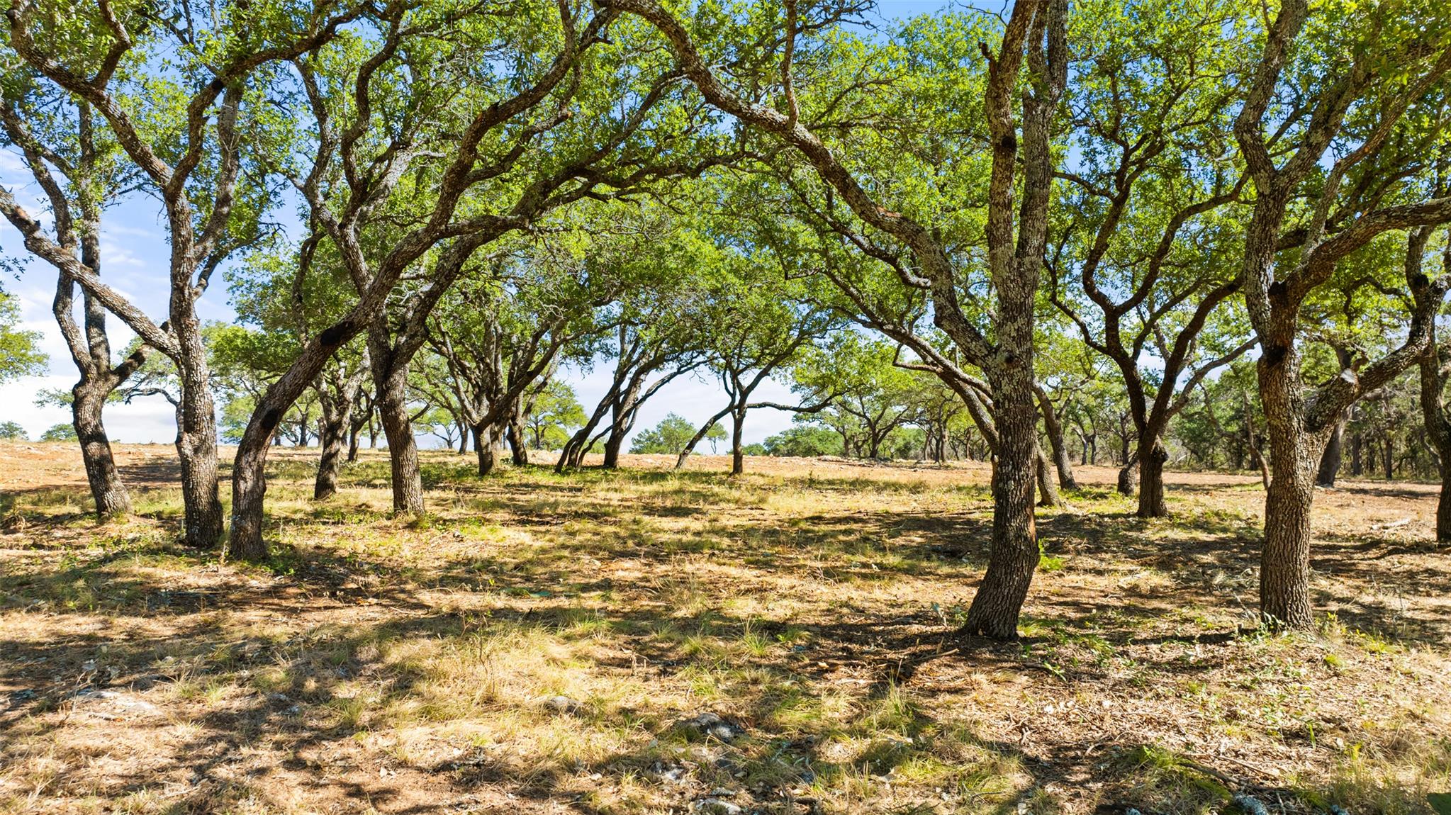 2560 Towhead Valley RD