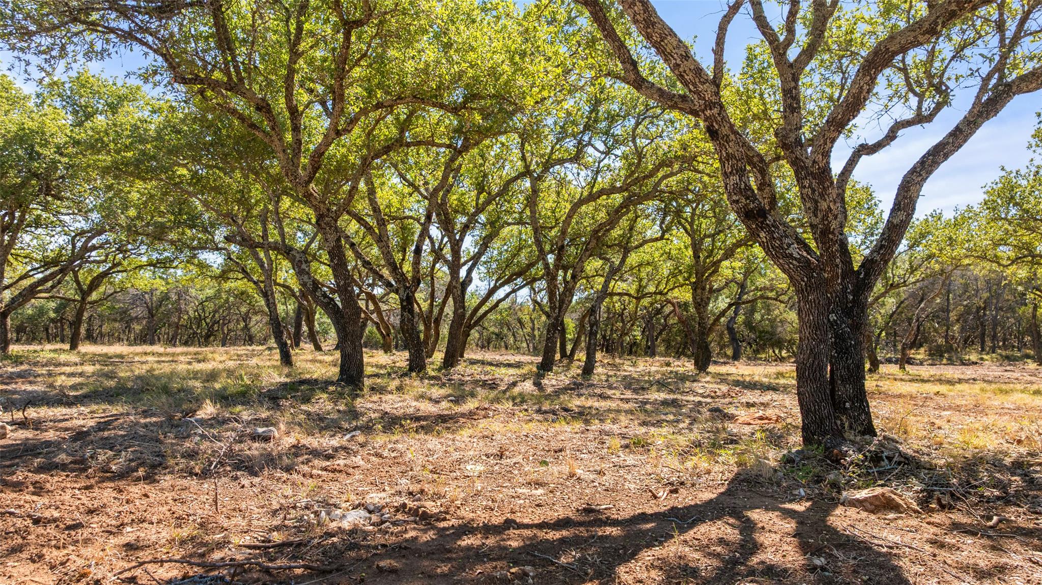 2560 Towhead Valley RD