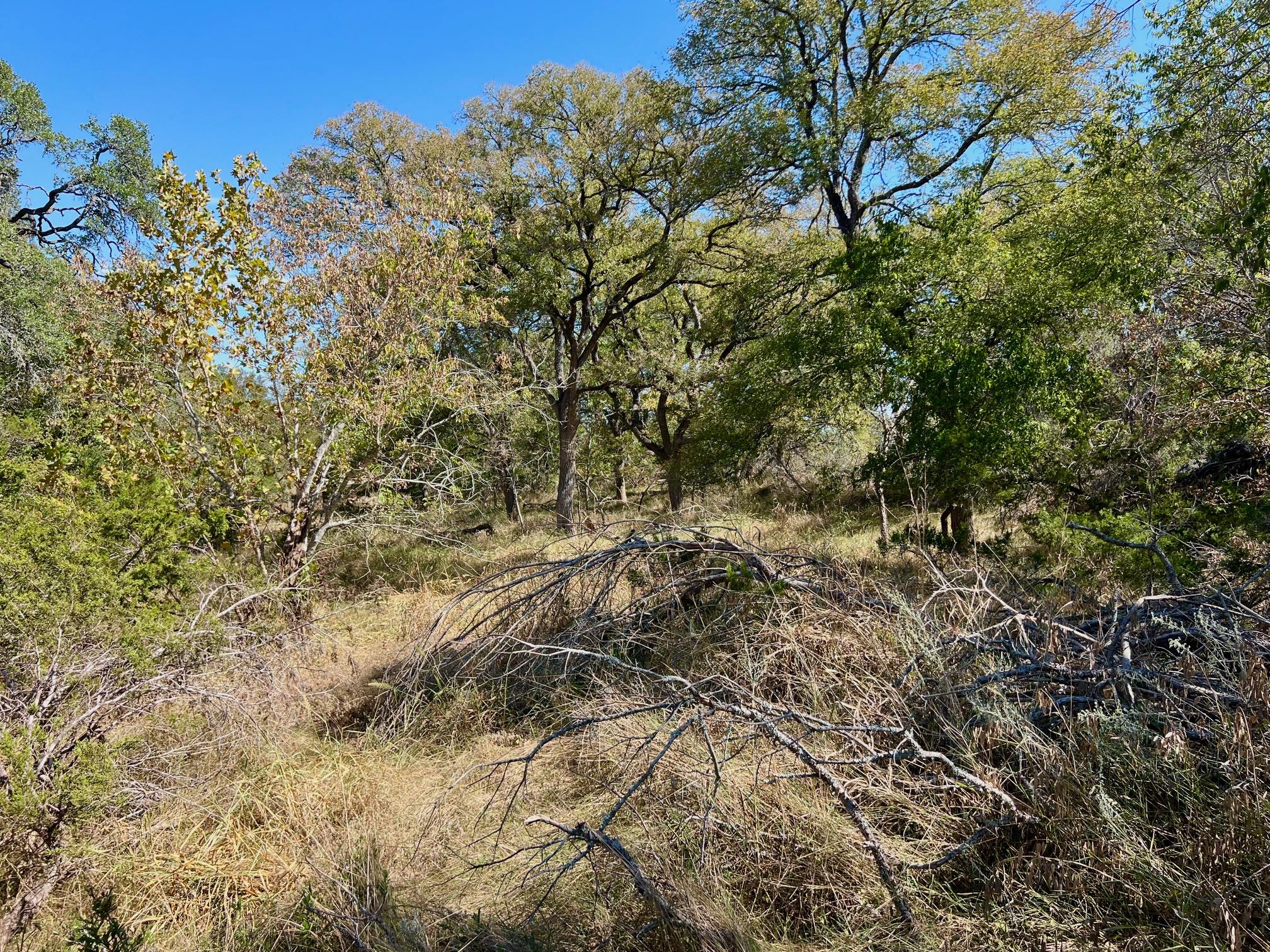 1366-E Narrows RD