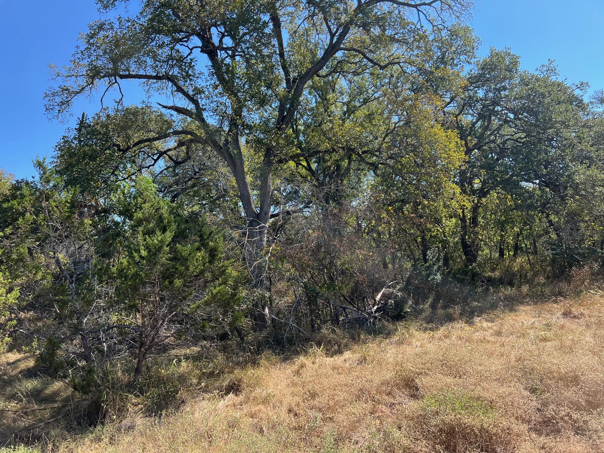 1366-E Narrows RD
