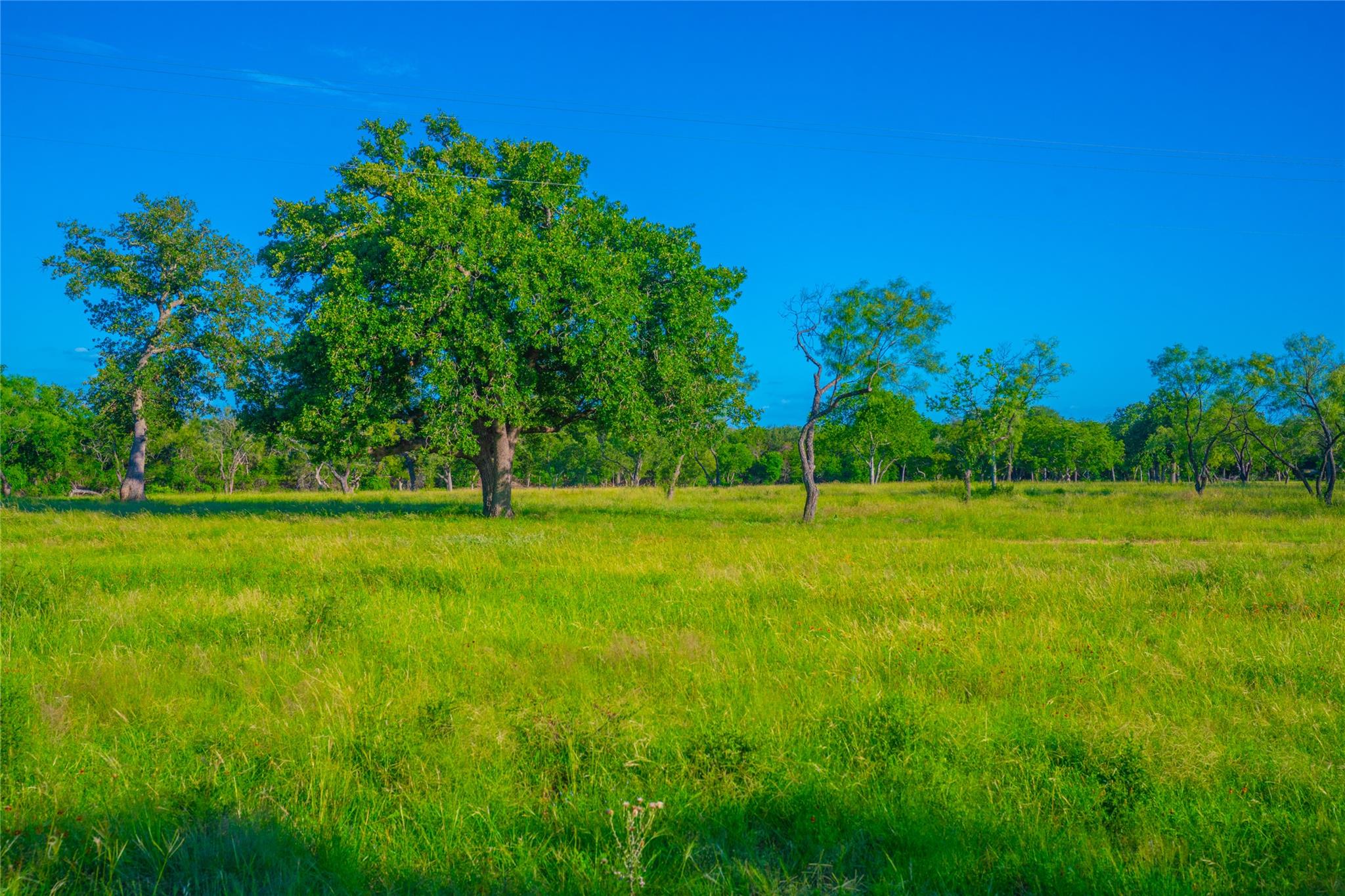 0 Creekside Ranch