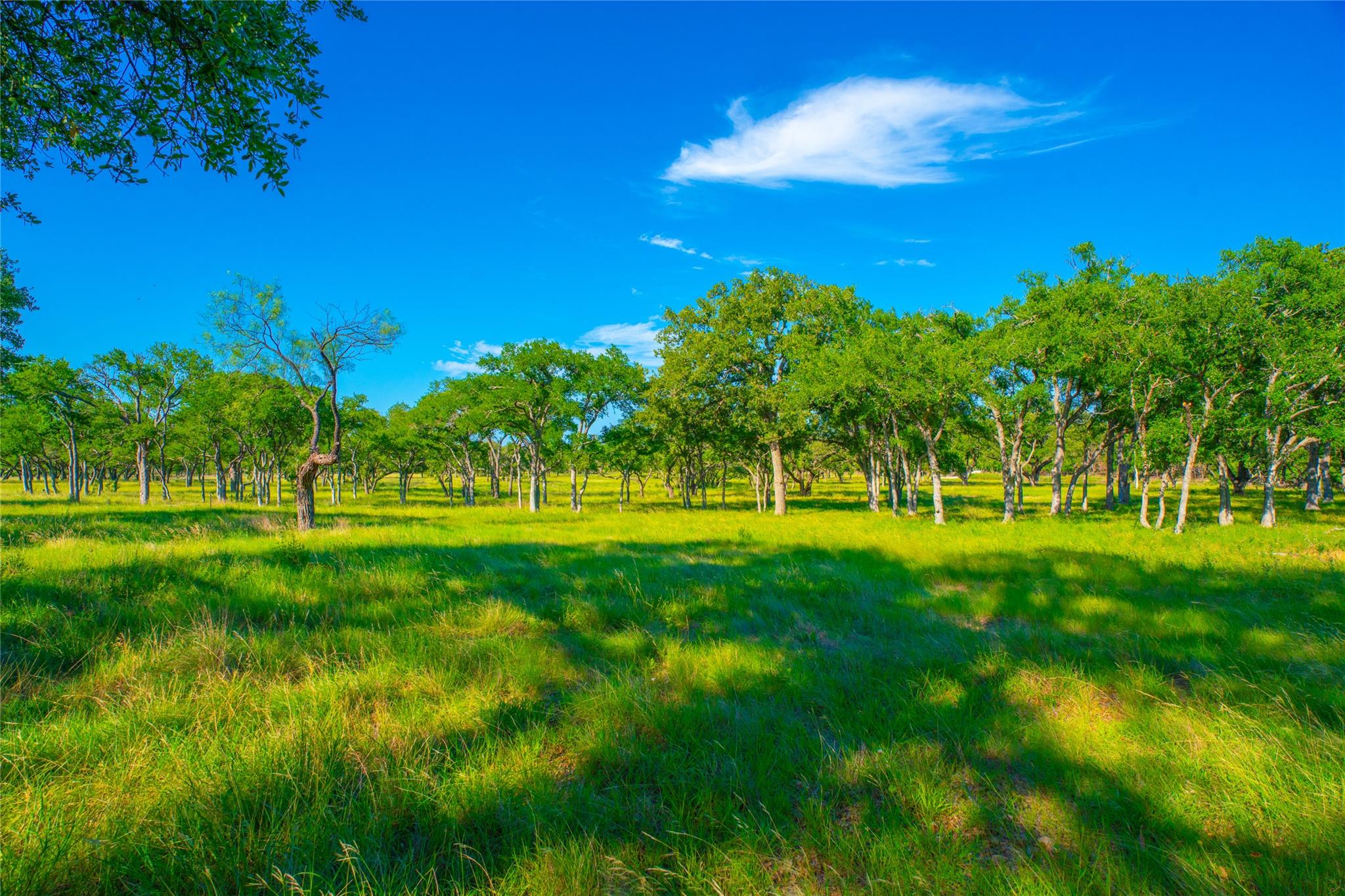 0 Creekside Ranch