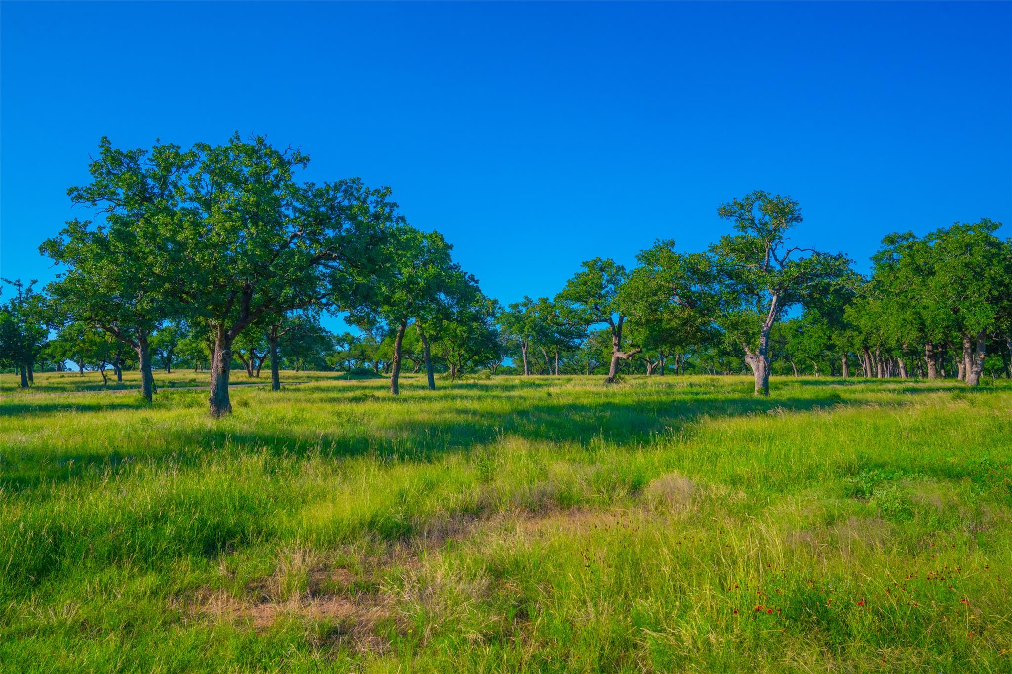 0 Creekside Ranch