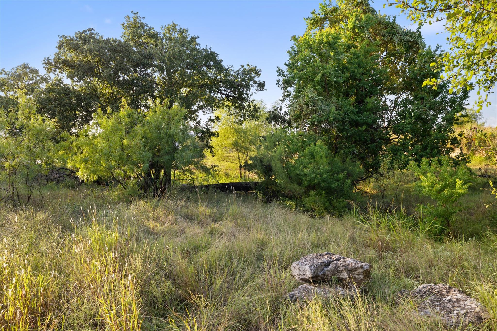 302 Lake Downs DR