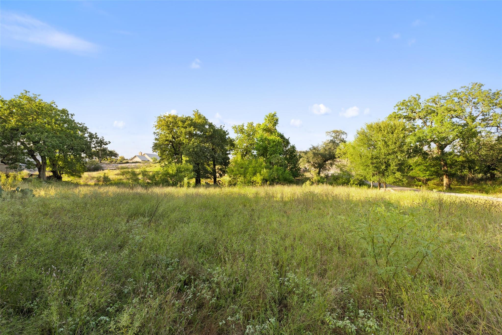 302 Lake Downs DR