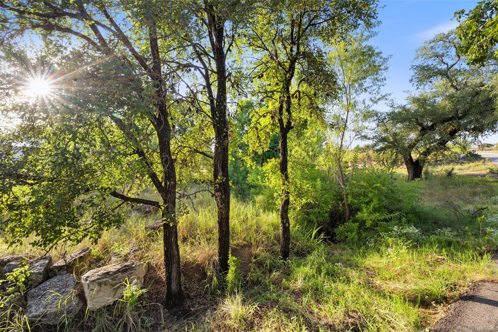 302 Lake Downs DR