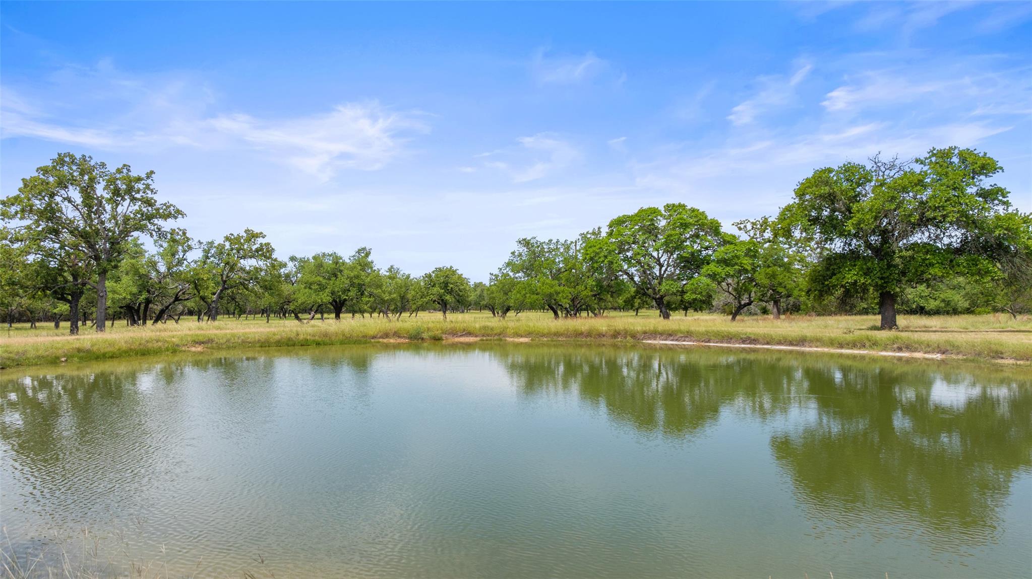 1241-1 Sandy Oaks Ranch