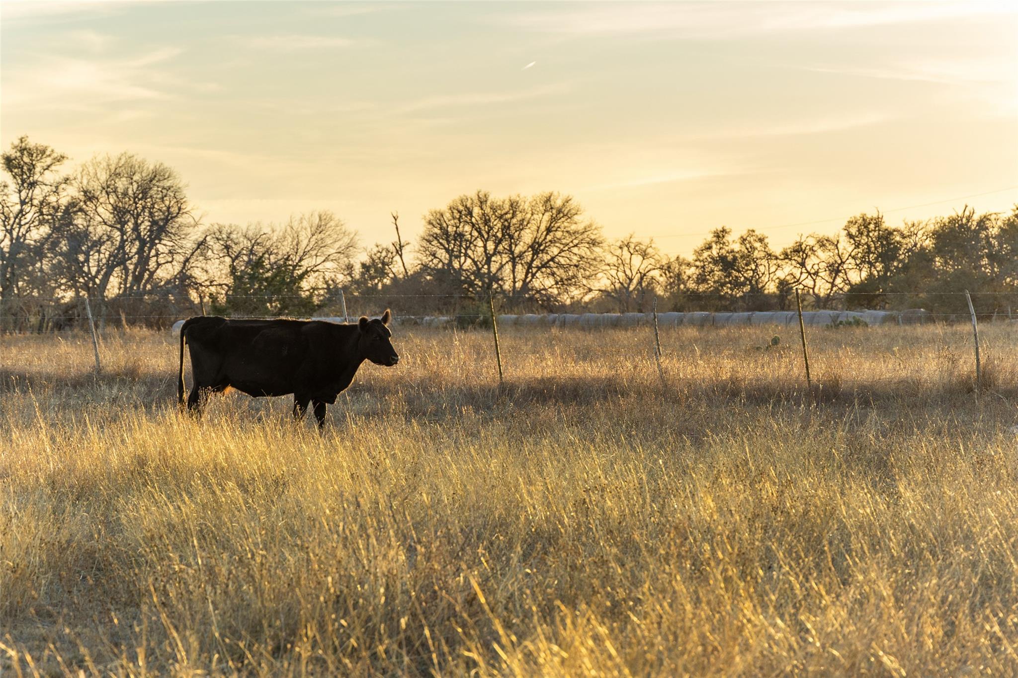 2227 Klein-Ahrens RD