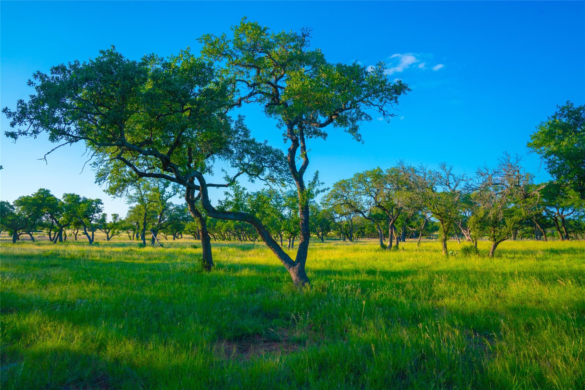 0 Bountiful Oaks Ranch