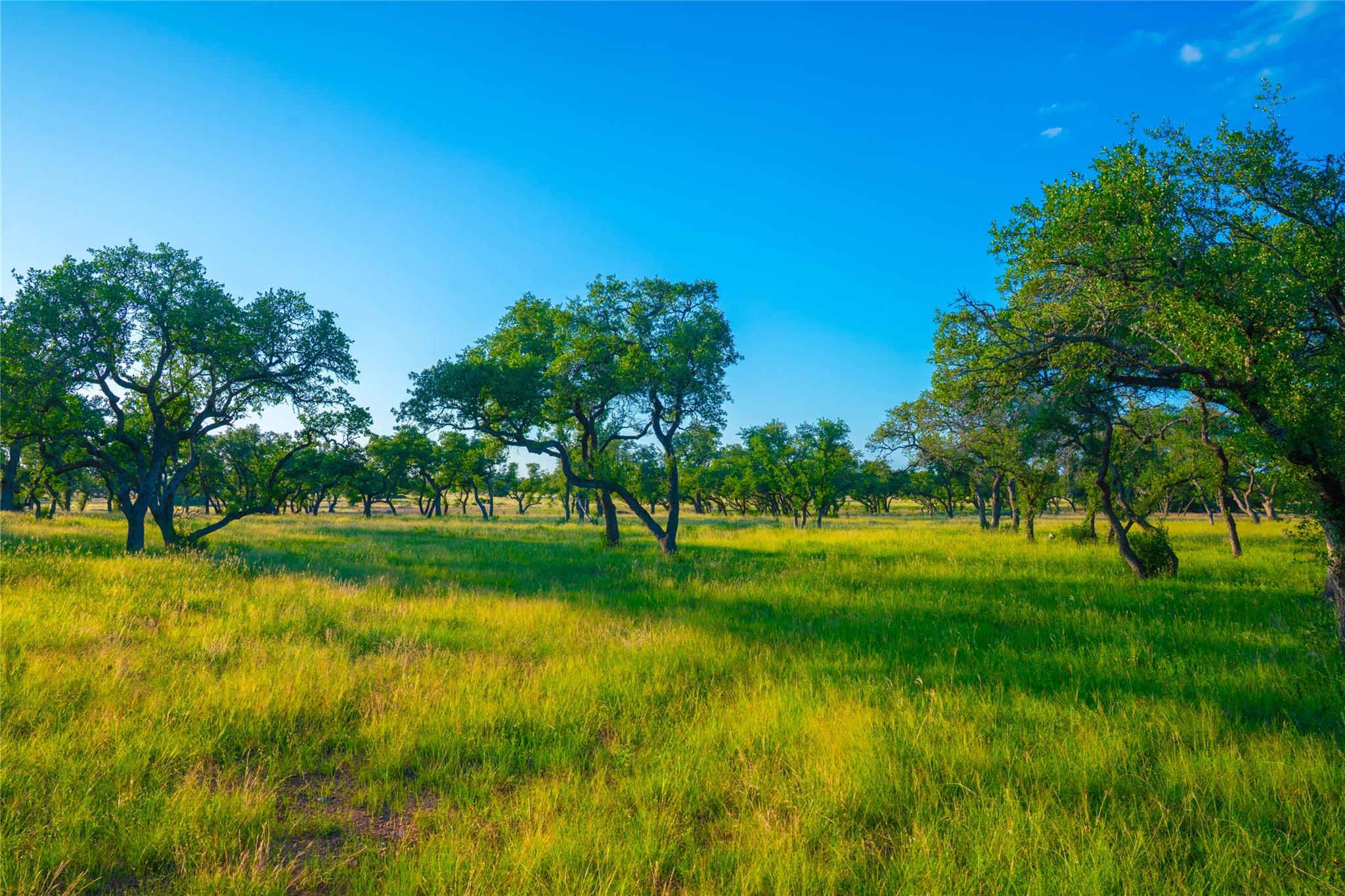 0 Bountiful Oaks Ranch