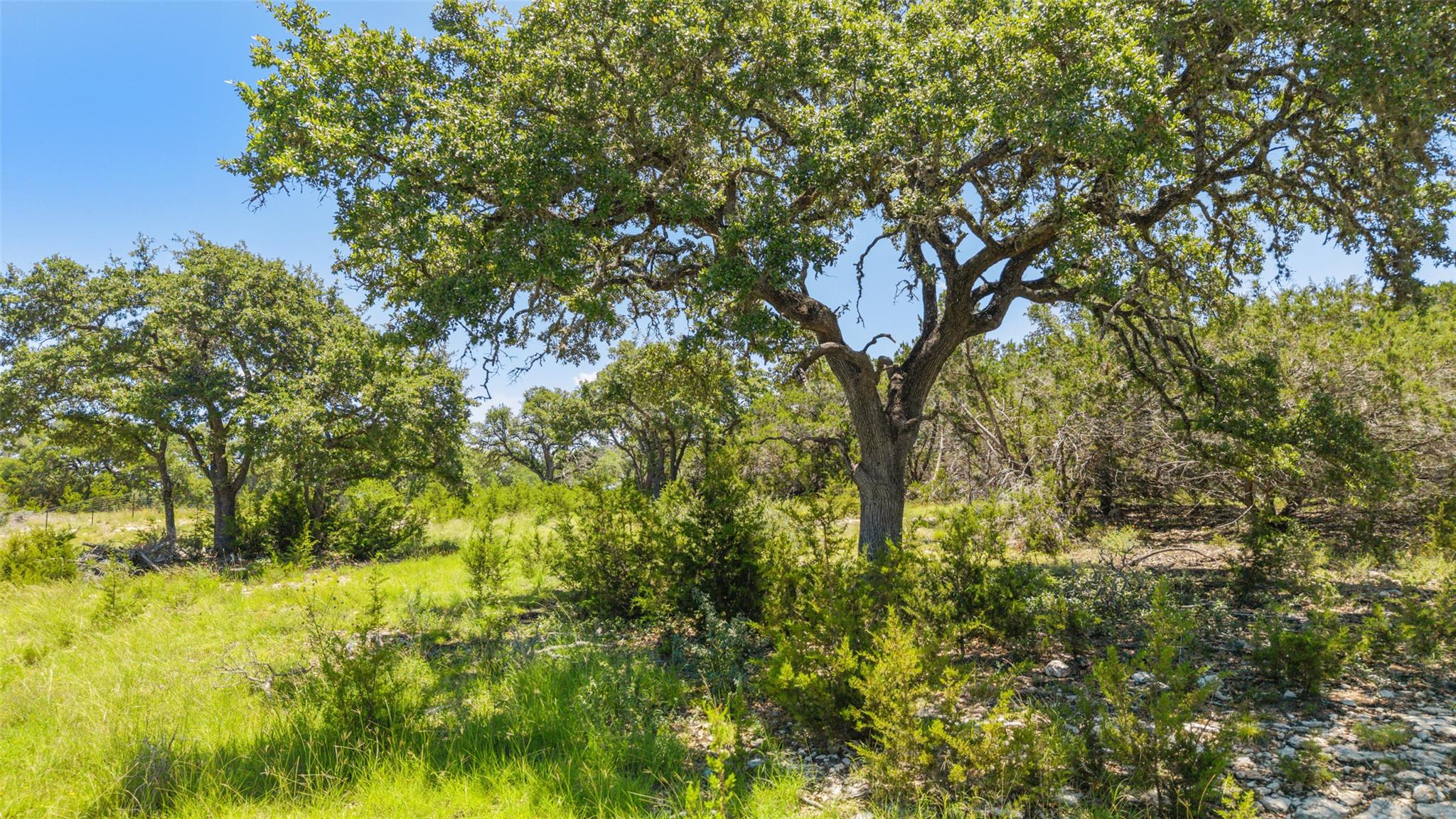 938 Lindeman Lane Tract 3