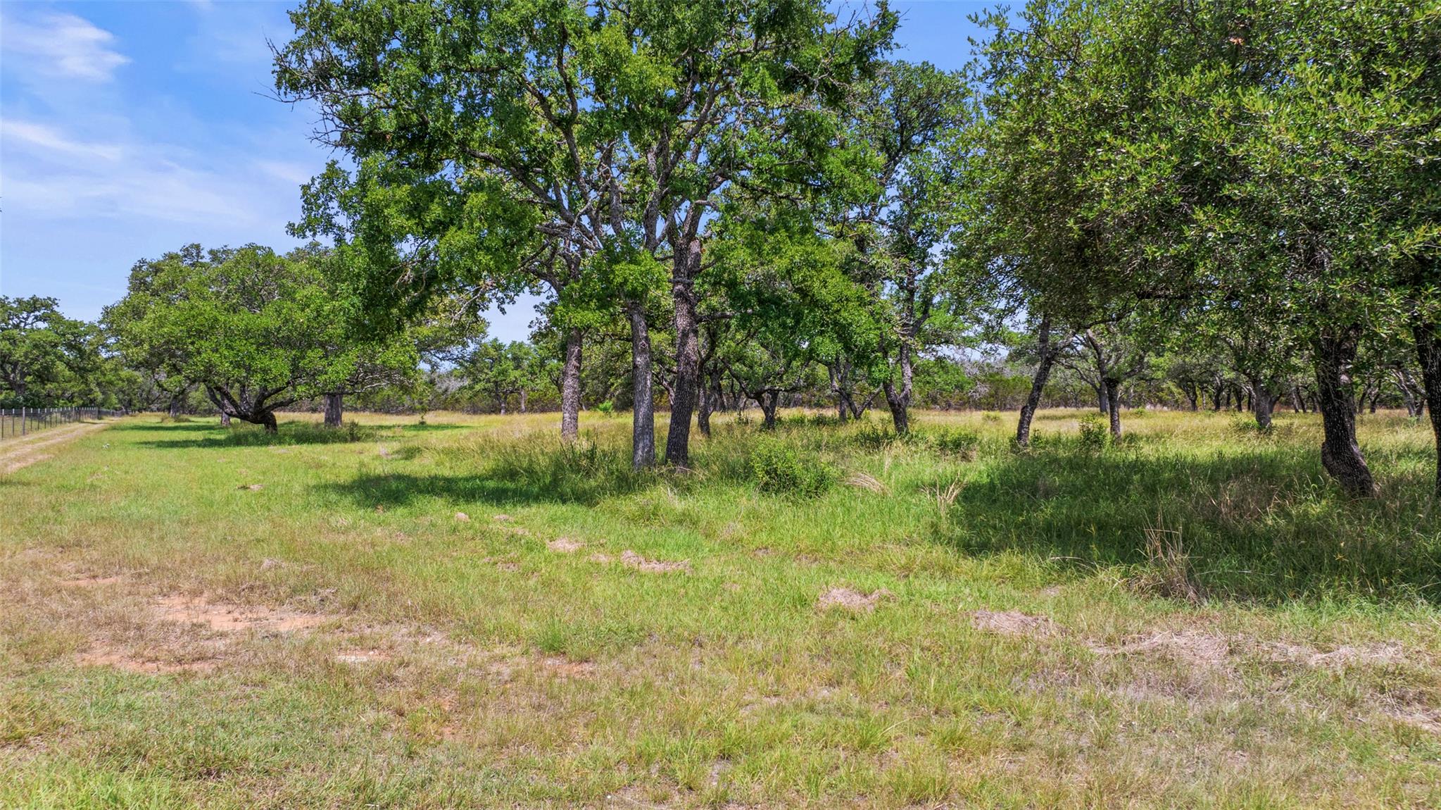997 Sandy Oaks Ranch Rd