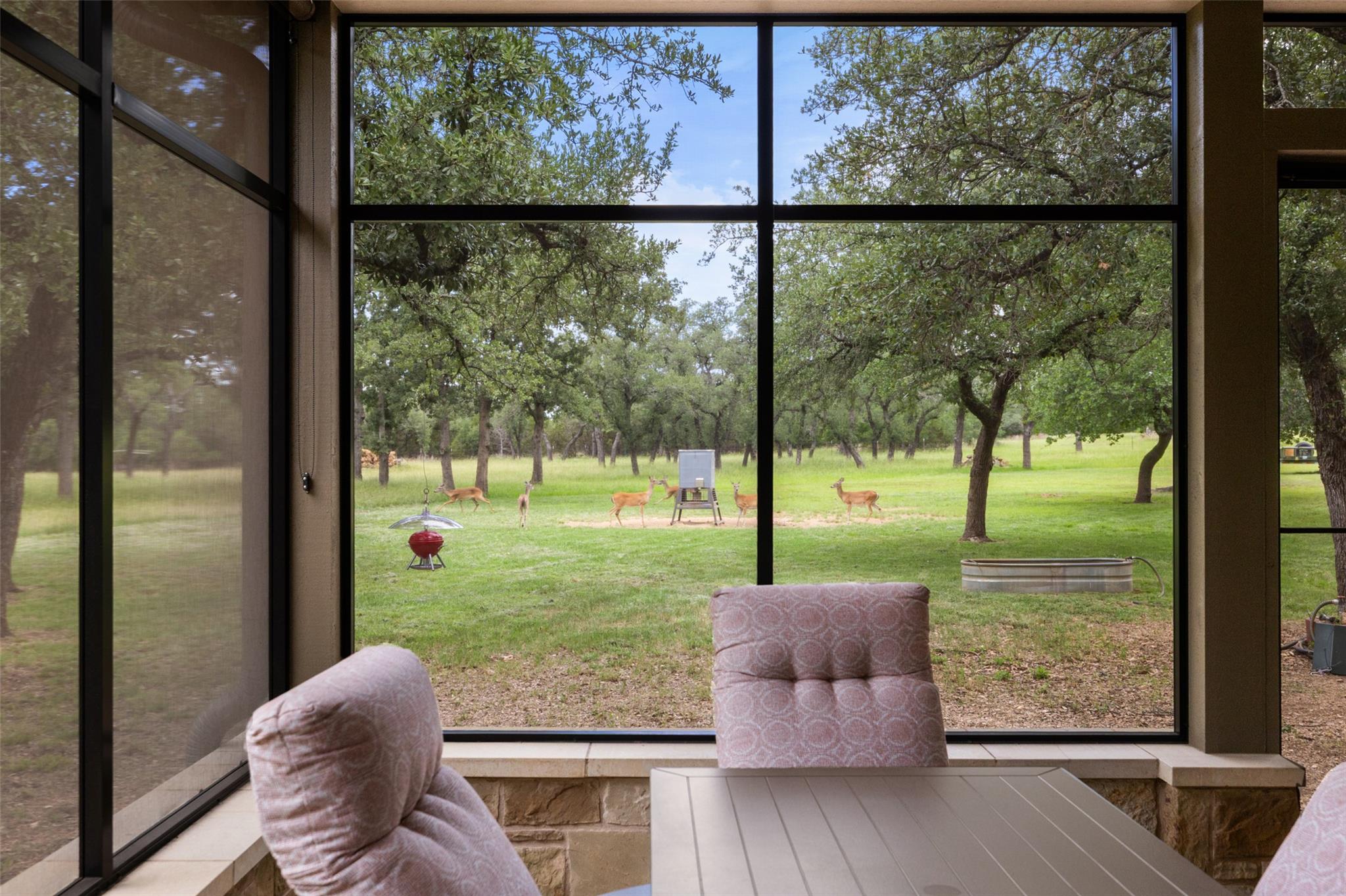 1241 Sandy Oaks Ranch RD