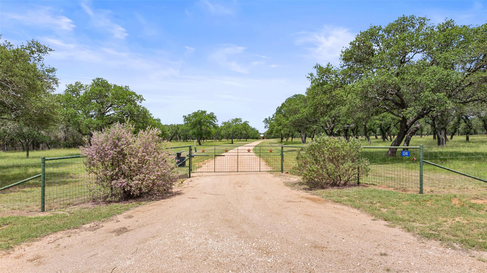 1241 Sandy Oaks Ranch RD