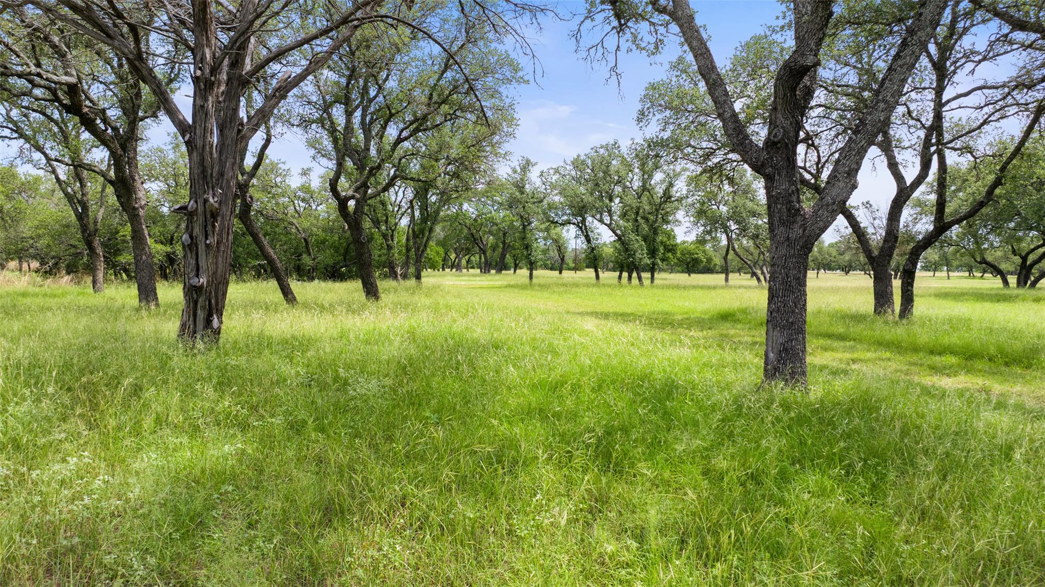 1241 Sandy Oaks Ranch RD