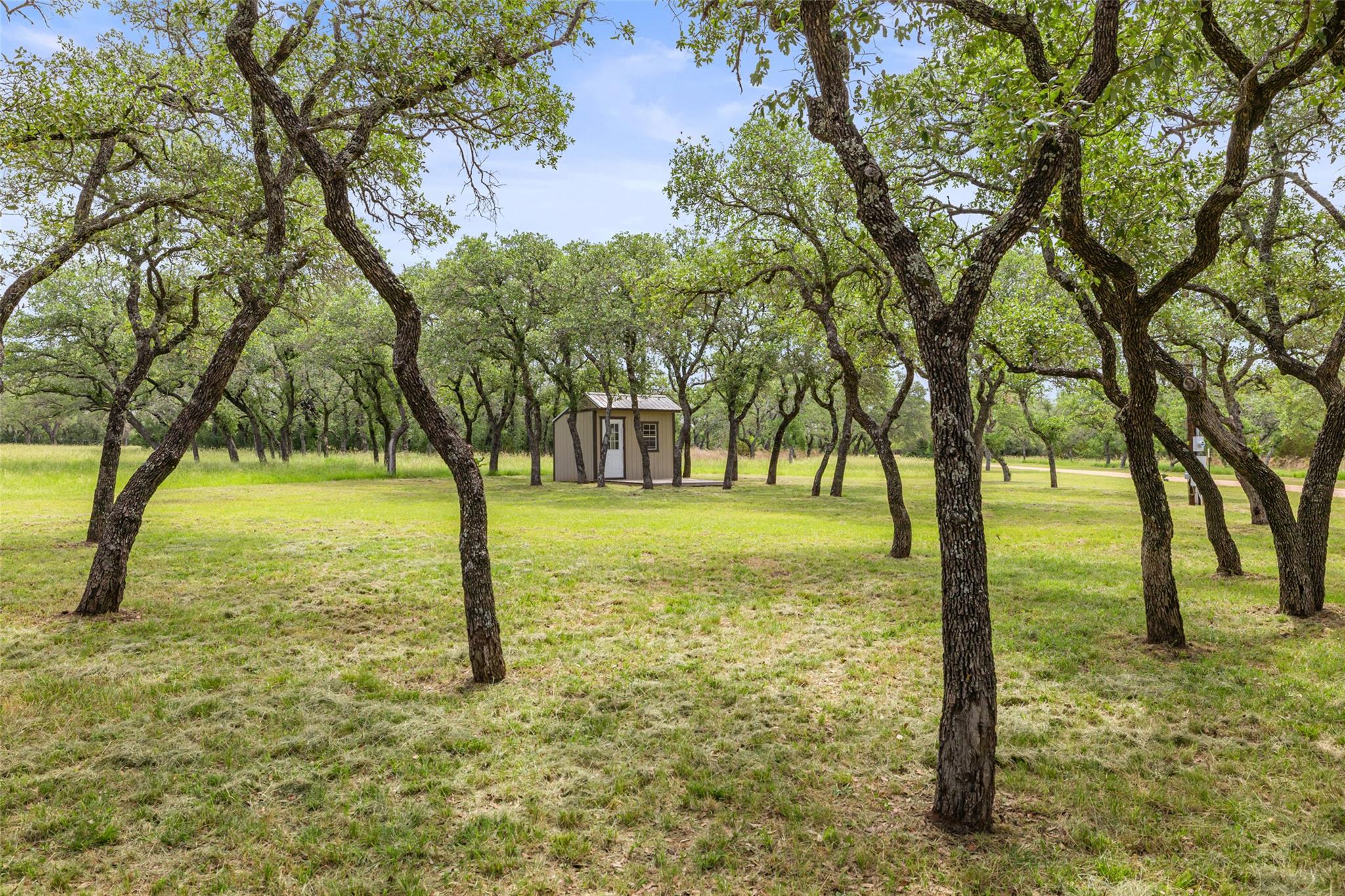 1241 Sandy Oaks Ranch RD