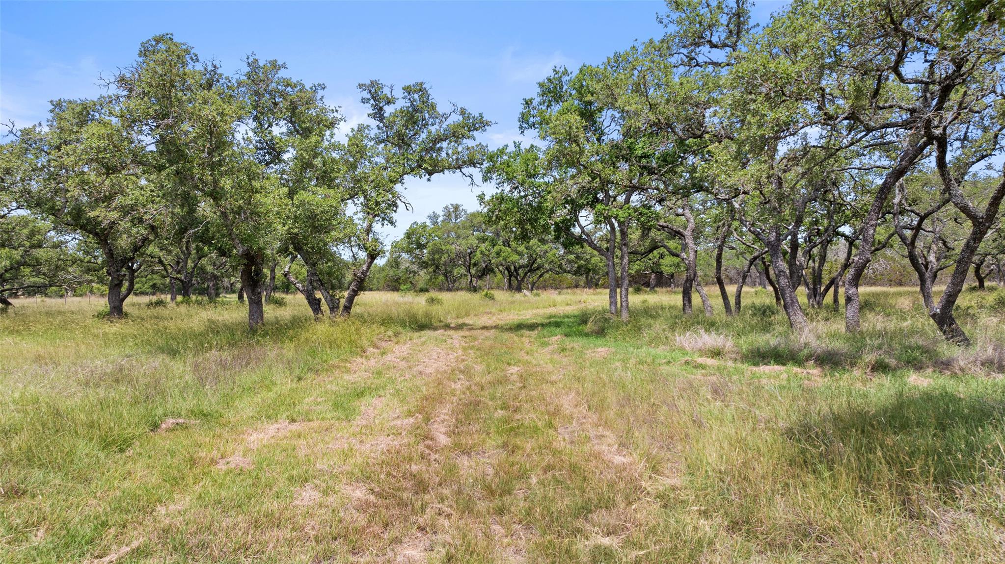 1241 Sandy Oaks Ranch RD